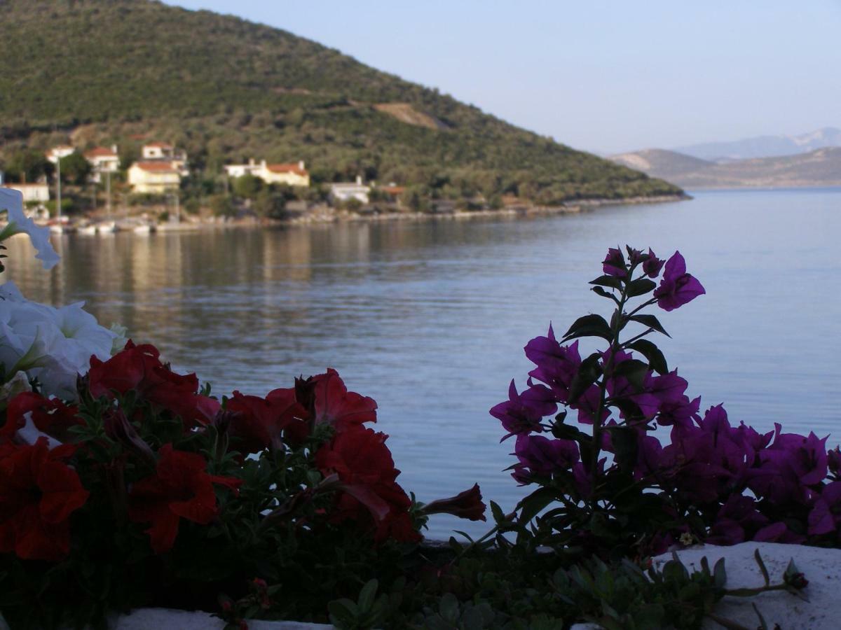 Penzion Meli-Ios Almiropótamos Exteriér fotografie