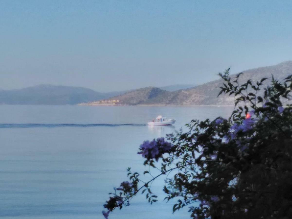 Penzion Meli-Ios Almiropótamos Exteriér fotografie